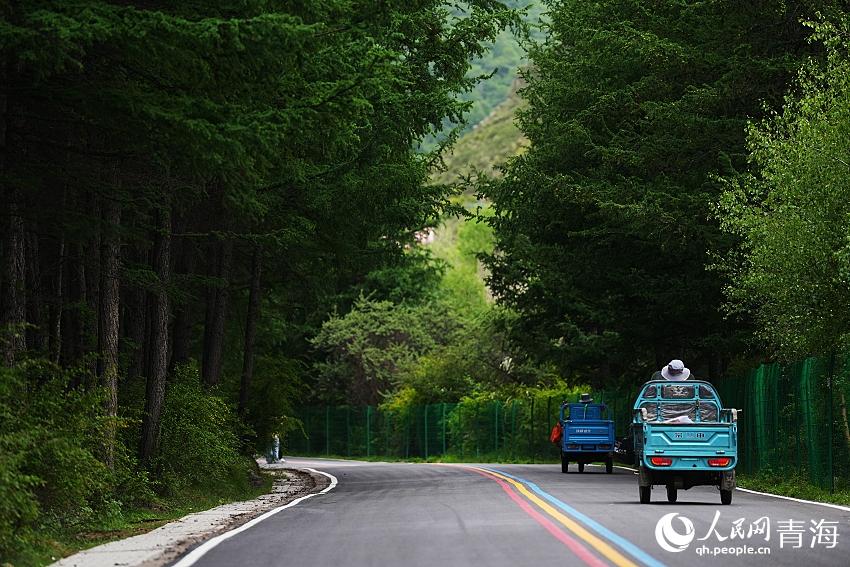 蜿蜒的山路。人民網(wǎng) 陳明菊攝
